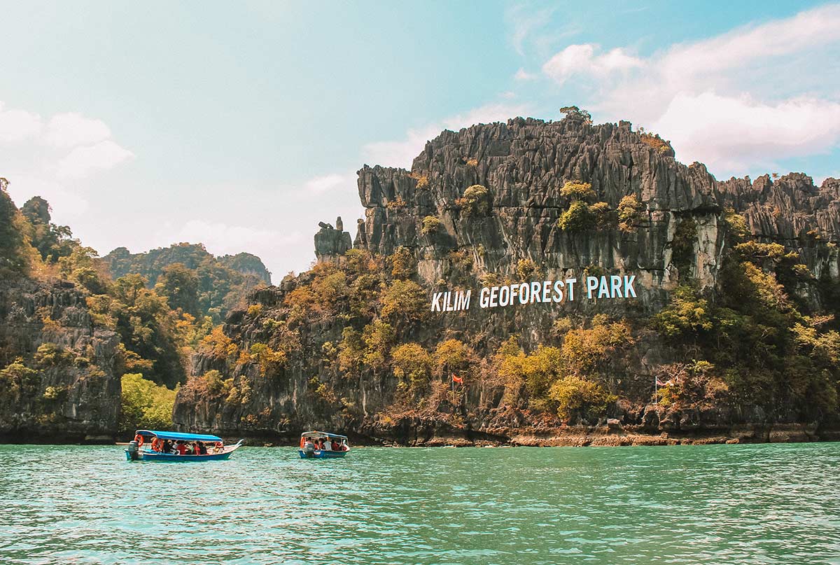 Jelajahi Ekosistem Bakau yang Memesona di Mangrove Tour Langkawi